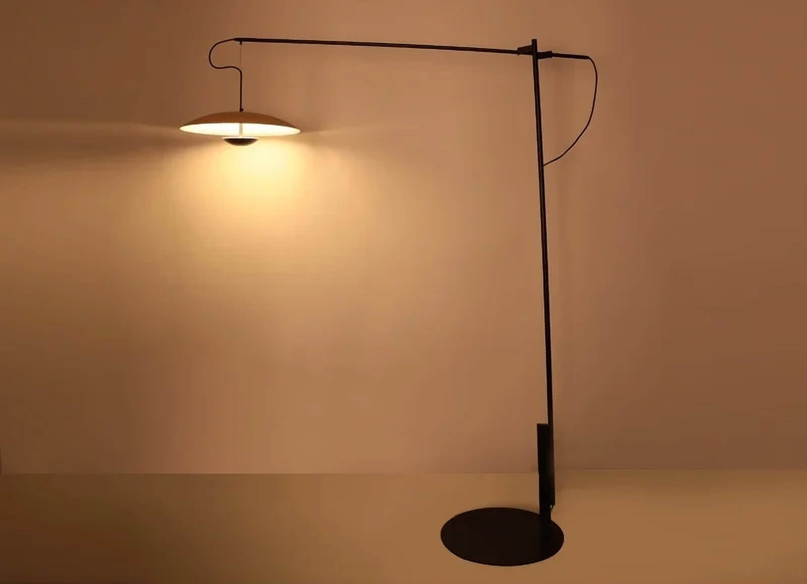 Minimalist floor lamp with a thin arm and flat circular shade.