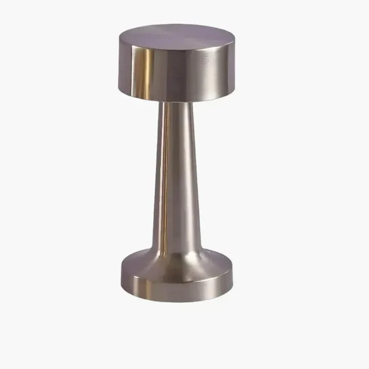 Metallic dumbbell-shaped object with a cylindrical body and flat circular ends.